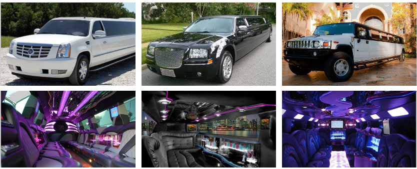 airport transportation party bus rental plano