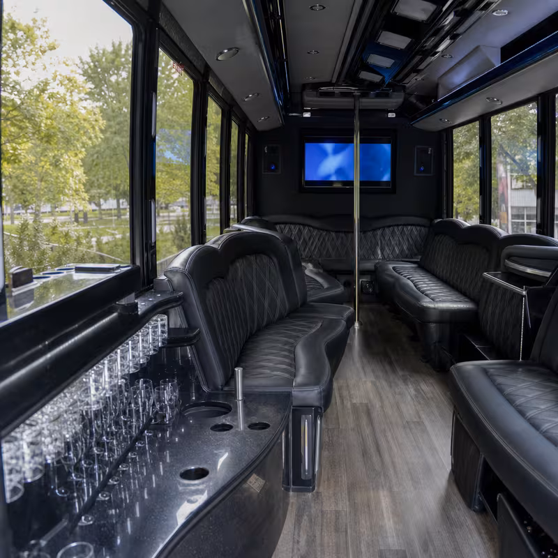 Passenger watching the Plano scenery during a regional party bus road trip