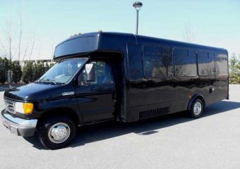18 passenger Plano party buses